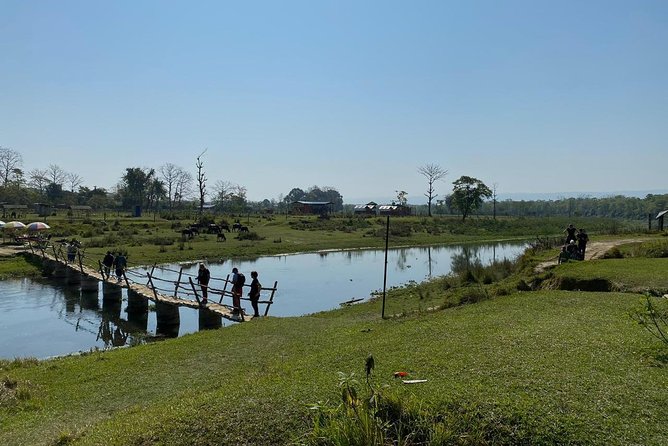 1 Night 2 Days Chitwan Jungle Safari Tour from Kathmandu - Day 2 jeep safari morning: wildlife time, then breakfast and the return