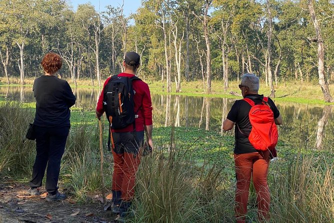 1 Night 2 Days Chitwan Jungle Safari Tour from Kathmandu - Wildlife reality check: rhinos, tigers, and what you can actually influence