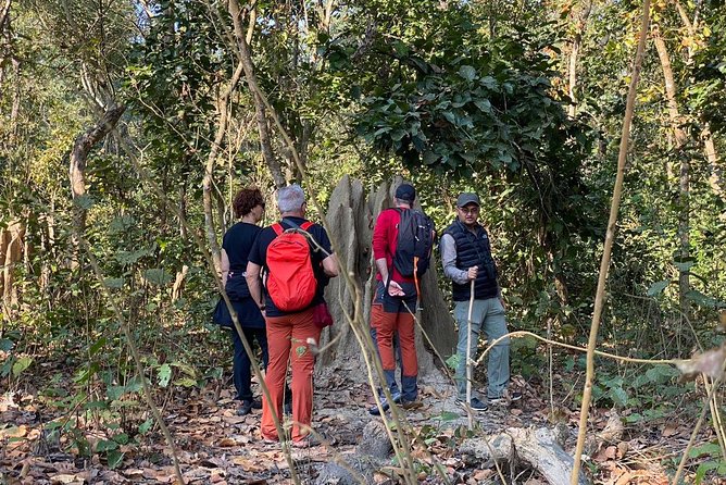 1 Night 2 Days Chitwan Jungle Safari Tour from Kathmandu - Resort breaks and food: where the day feels human (not rushed)
