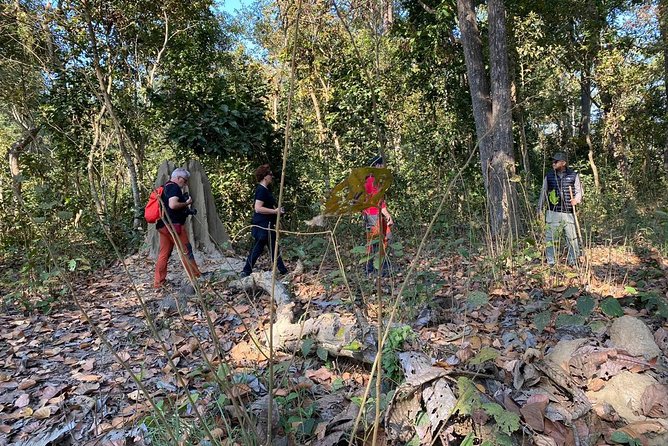1 Night 2 Days Chitwan Jungle Safari Tour from Kathmandu - Timing matters: the tight connection risk on a 1-night plan