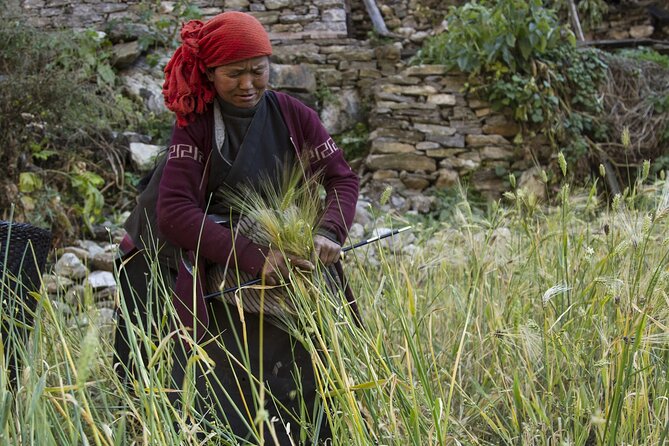 10 Days Manaslu Circuit Trek in Larke La Pass - Day 2–5: Jagat, Deng, Namrung, Sama Gaon—villages and steady altitude building