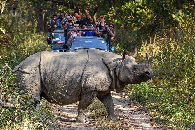 10 days Special Nepal Tour Package - Day 3: Bhaktapur sightseeing and Nagarkot sunset for Himalayan views