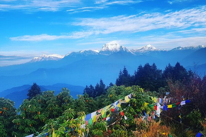 11-Day Hike Tour to Annapurna Base Camp Bliss in Kathmandu - Day 2: Kathmandu to Pokhara by domestic flight, then the trek start area