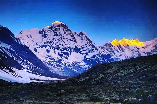 11-Day Hike Tour to Annapurna Base Camp Bliss in Kathmandu - Day 4: Poon Hill viewpoint, then rhododendron country to Tadapani