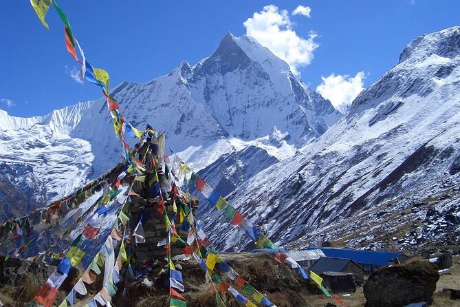 11-Day Hike Tour to Annapurna Base Camp Bliss in Kathmandu - Day 5: Chhomrong area—Annapurna South views and Gurung culture stops