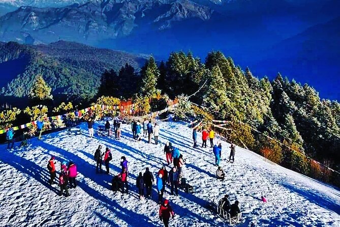 11-Day Hike Tour to Annapurna Base Camp Bliss in Kathmandu - Day 6: Up to Deurali through rhododendron forest and along Modi Khola