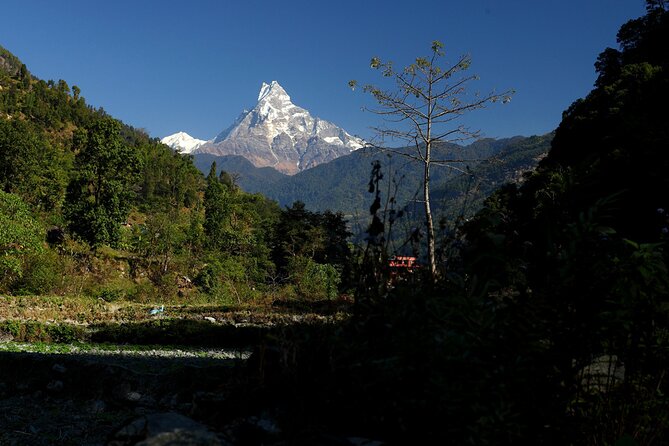 12-Day Nepal Adventure Trek with Jungle Safari - First morning: airport pickup at 6:15 and a temple circuit in Kathmandu