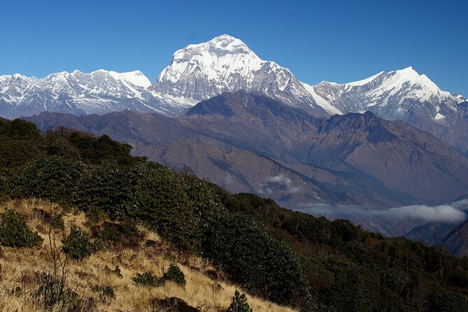 12-Day Nepal Adventure Trek with Jungle Safari - Ghandruk and Syauli bazaar: village trekking that feels real