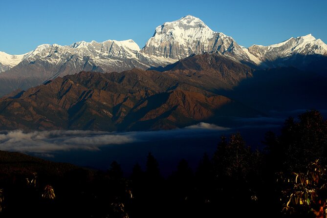 12-Day Nepal Adventure Trek with Jungle Safari - Chitwan jungle walking and safari: wildlife plus Tharu culture in one day
