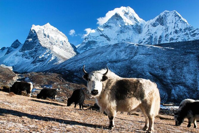 12 Days Everest Base Camp Trek - Key Things That Matter Most on This Trek