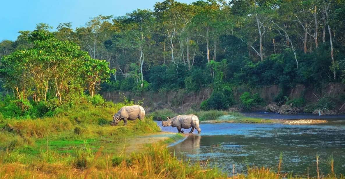 2 Days Chitwan Jungle Safari Tour from Pokhara/Kathmandu - Jeep safari and guided jungle walk: what you do, and why it works