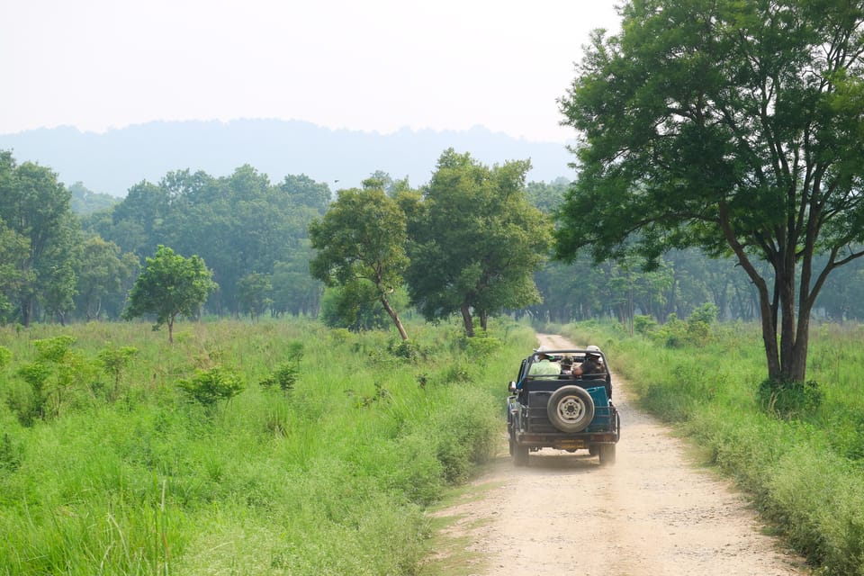 2 Days Chitwan Jungle Safari Tour from Pokhara/Kathmandu - Wildlife odds in Chitwan: Bengal tigers, rhinos, and managing expectations