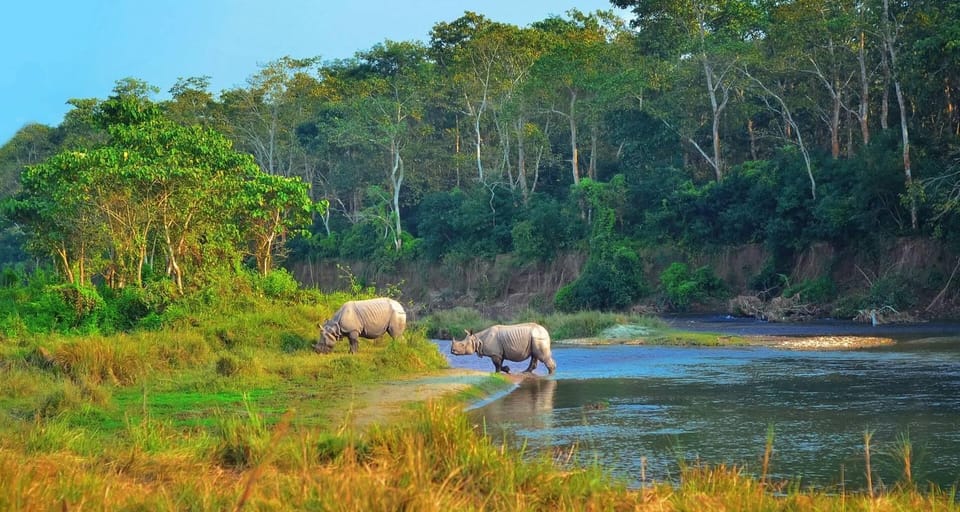 2 Days Chitwan Jungle Safari Tour from Pokhara/Kathmandu - Rainbow Safari Resort and your one-night stay in Chitwan