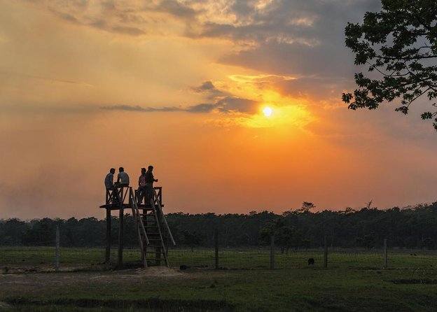 3-Day Chitwan National Park Jungle Safari Tour Package with Pick Up - Quick hits before you go