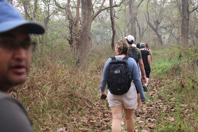 3-Day Chitwan National Park Jungle Safari Tour Package with Pick Up - Kathmandu to Chitwan: the pickup that sets the tone