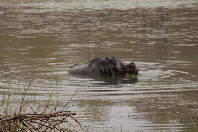 3-Day Chitwan National Park Jungle Safari Tour Package with Pick Up - Day 2’s sunrise canoe on the Rapti River