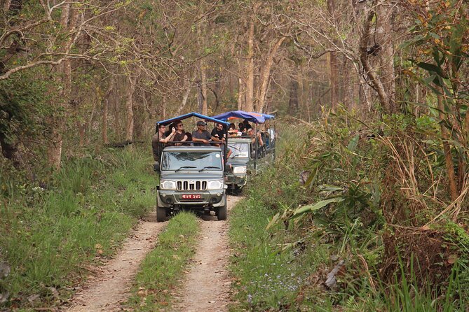 3-Day Chitwan National Park Jungle Safari Tour Package with Pick Up - Tharu culture show: a calmer evening after active days