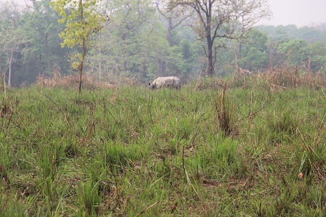 3-Day Chitwan National Park Jungle Safari Tour Package with Pick Up - Meals included: food that helps you keep up