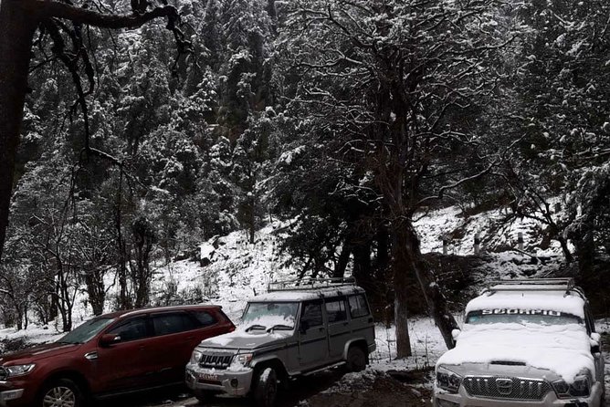 3 Days Kalinchowk Trekking from Kathmandu - A 3-Day Kalinchowk Trek That Fits Real Schedules