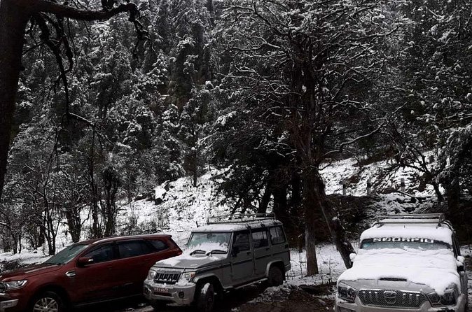 3 Days Kalinchowk Trekking from Kathmandu - Accommodation in Guest Houses and Tea-House Style Nights