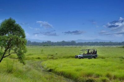 3 Nights 4 Days Chitwan National Park with Tower Night Stay - Wildlife schedule: canoe, bird watching, and jeep safari in the same trip