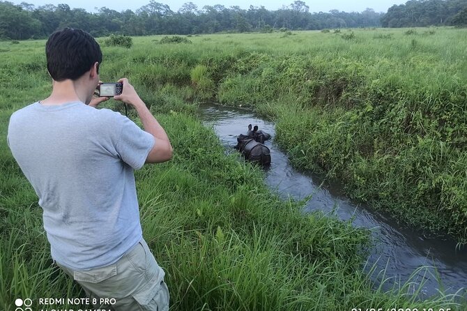 3 Nights 4 Days Chitwan National Park with Tower Night Stay - Day 2 and Day 3: Jungle walks, jeep safari, and a guide who works the plan