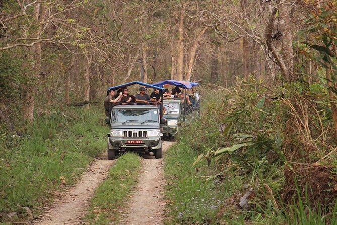 3 Nights 4 Days Chitwan National Park with Tower Night Stay - Tharu culture show: what to pay attention to