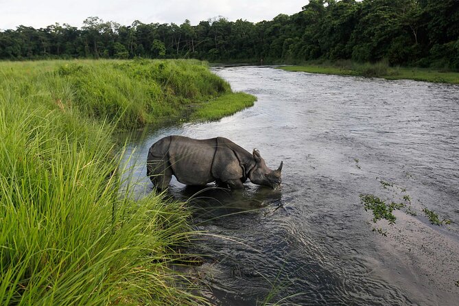 3 Nights 4 Days Chitwan National Park with Tower Night Stay - Tower night stay: comfort details that matter at 2 am