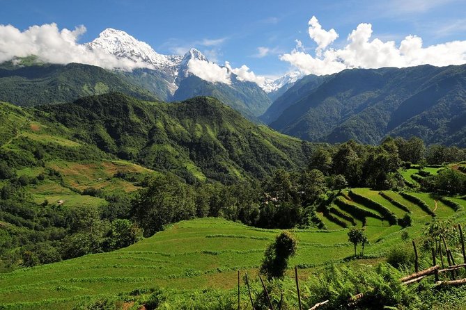 4-day Poon Hill Trek - How the trek rhythm likely plays out across 4 days