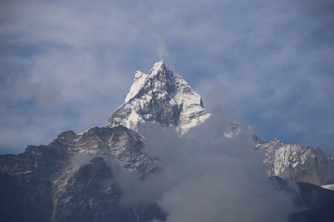 8 Days Special Nepal Tour Package - Day 4 Chitwan activities: canoeing, jungle walk, and jeep safari