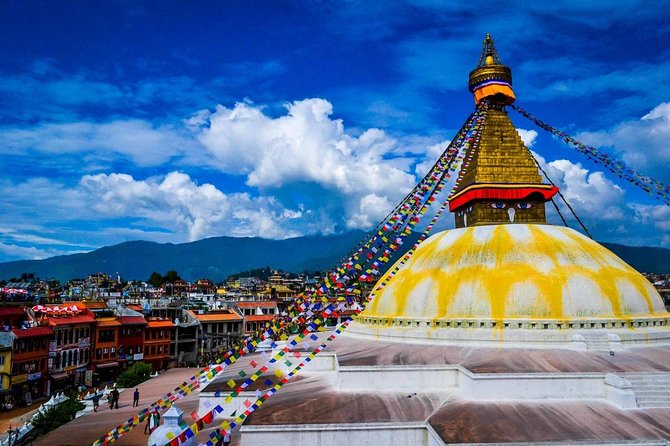 8 Days Tour in Nepal - Kathmandu, Chitwan & Pokhara (3 & 4 Star) - Chitwan National Park: jungle day with real wildlife energy