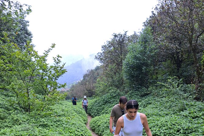 Amazing 1 Day Trekking Experience in Kathmandu Nepal - Shishir Thapa and the guide experience you’ll notice on the hike