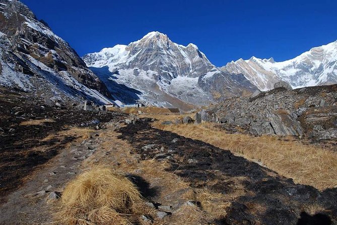 Annapurna Base Camp, Nepal 10 days - Day 6: The Machhapuchhre base camp stretch and the Annapurna Base Camp moment