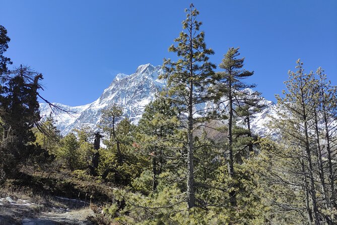Annapurna Base Camp Trek - 10 Days - Key points I’d circle before you book