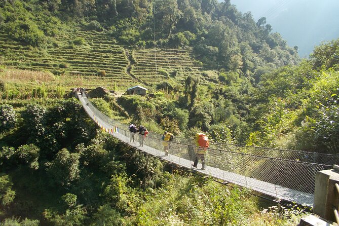 Annapurna Base Camp Trek - 10 Days - Day-by-day: from Thamel streets to ABC at about 4,130m
