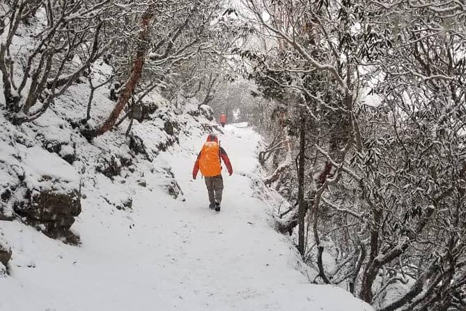 Annapurna base camp trek 5 Days - Day 3: Sinuwa hilltop lodge for sunrise views