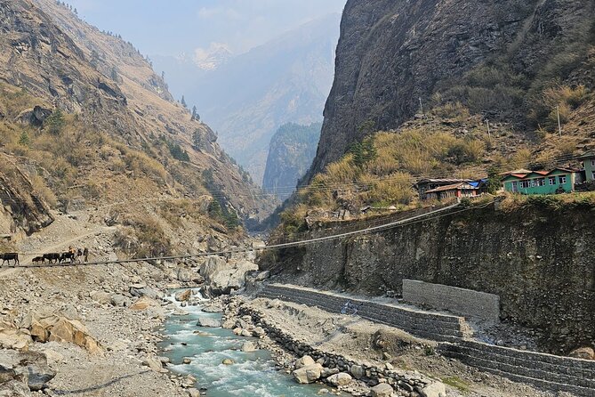 Annapurna Circuit Trek with Tilicho Lake (16 Days) - Tilicho Lake Day: 4,919m and the High-Alpine Reality (Day 9)