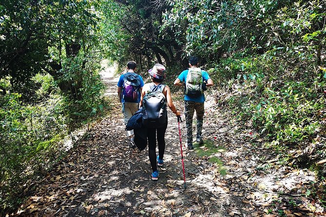Chisapani - Nagarkot Trek Nepal - 3 Days - Day 3: Ridge walk to Changu Narayan Temple from Nagarkot