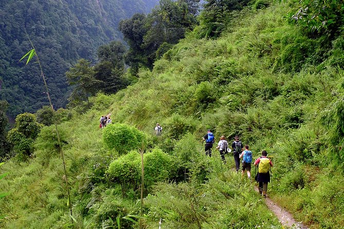 Chisapani - Nagarkot Trek Nepal - 3 Days - Kathmandu welcome and farewell dinners: more than a nice perk