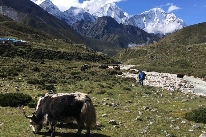 Everest Base Camp Helicopter Tour landing at Everest View Hotel - Price and value: why $1,575 can make sense if you plan it right
