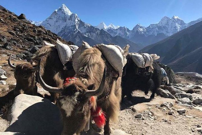 Everest Base Camp Trek 12 Days – Best Himalayan Adventure - Reaching the Everest Base Camp area and settling in at Gorak Shep