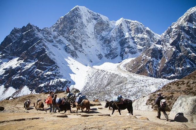 Everest Base Camp Trek with Helicopter Return to Lukla - 10 Days - Key highlights worth the hype