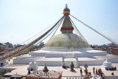 Experiential Tour of Nepal. - Chitwan wildlife safari: where the trip gets truly nature-forward