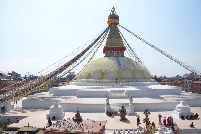 Experiential Tour of Nepal. - Chitwan wildlife safari: where the trip gets truly nature-forward