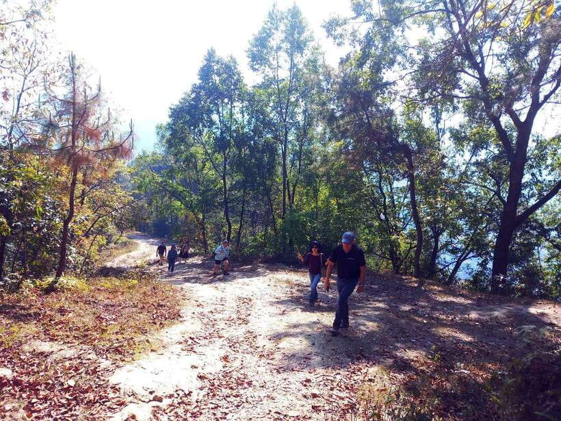 From Kathmandu: 3-Day Chisapani-Nagarkot Trek & Bhaktapur - Who This Trek Fits Best (and who should reconsider)