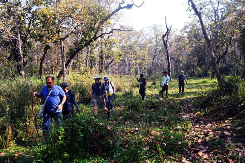 From Kathmandu/Pokhara: 2, 3, or 4-Day Chitwan Jungle Safari - Chitwan starts with a 5–6 hour transfer you can handle