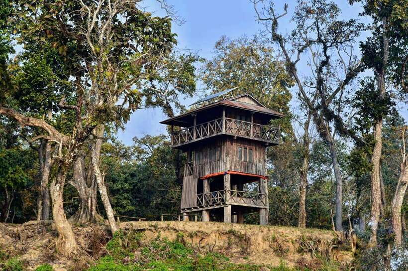 From Kathmandu/Pokhara: 2, 3, or 4-Day Chitwan Jungle Safari - Jeep safari in Chitwan National Park: how to maximize your odds