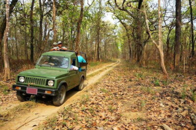 From Kathmandu/Pokhara: 2, 3, or 4-Day Chitwan Jungle Safari - Hotel Rainforest and the jungle tower: where the “forest night” really happens
