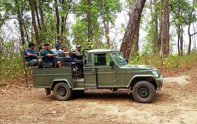 From Kathmandu/Pokhara: 2, 3, or 4-Day Chitwan Jungle Safari - 2-day vs 3-day vs 4-day: choose the right pace