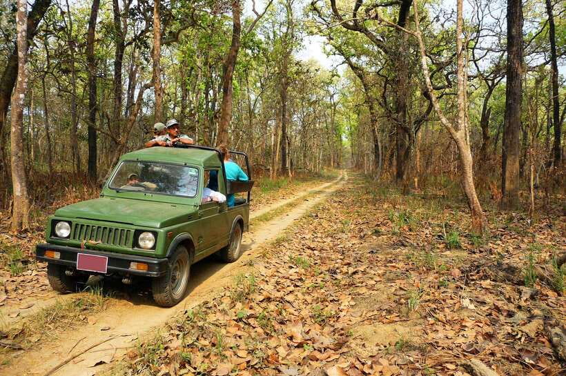 From Kathmandu/Pokhara: 2, 3, or 4-Day Chitwan Jungle Safari - Hotel Rainforest and the jungle tower: where the “forest night” really happens